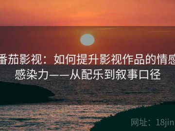 番茄影视：如何提升影视作品的情感感染力——从配乐到叙事口径