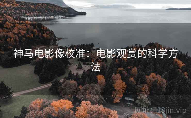 神马电影像校准：电影观赏的科学方法